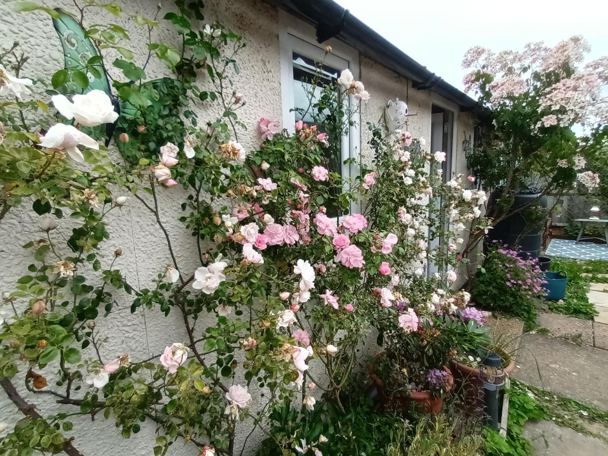 Private Suite In Oxfordshire, A40 Witney Esterno foto